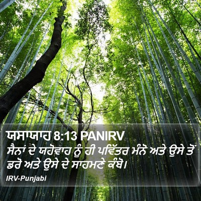 ਯਸਾਯਾਹ 8:13 PANIRV Bible Verse Image