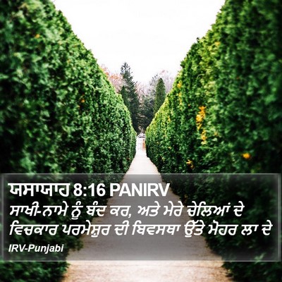ਯਸਾਯਾਹ 8:16 PANIRV Bible Verse Image