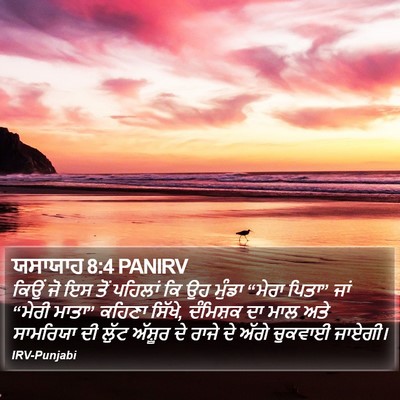 ਯਸਾਯਾਹ 8:4 PANIRV Bible Verse Image