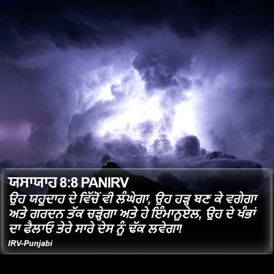 ਯਸਾਯਾਹ 8:8 PANIRV Bible Verse Image