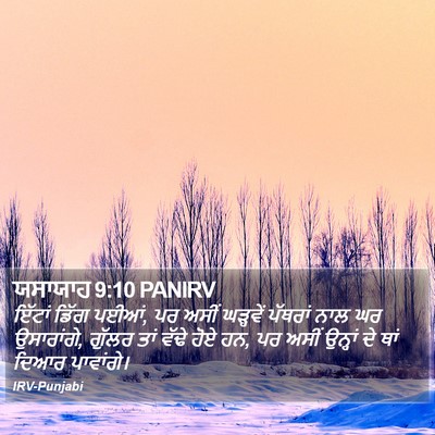 ਯਸਾਯਾਹ 9:10 PANIRV Bible Verse Image