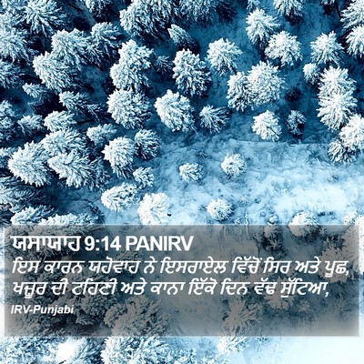 ਯਸਾਯਾਹ 9:14 PANIRV Bible Verse Image
