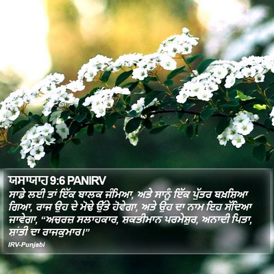 ਯਸਾਯਾਹ 9:6 PANIRV Bible Verse Image
