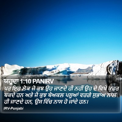 ਯਹੂਦਾ 1:10 PANIRV Bible Verse Image