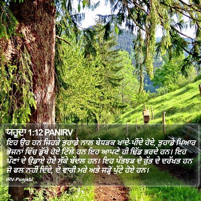 ਯਹੂਦਾ 1:12 PANIRV Bible Verse Image