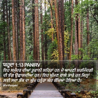ਯਹੂਦਾ 1:13 PANIRV Bible Verse Image