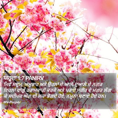 ਯਹੂਦਾ 1:7 PANIRV Bible Verse Image