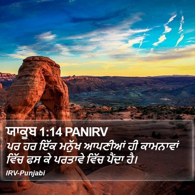 ਯਾਕੂਬ 1:14 PANIRV Bible Verse Image