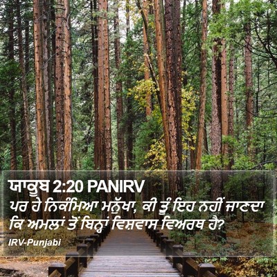 ਯਾਕੂਬ 2:20 PANIRV Bible Verse Image