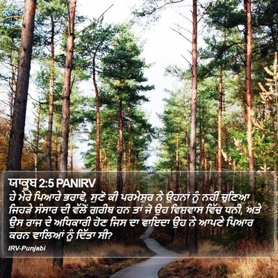 ਯਾਕੂਬ 2:5 PANIRV Bible Verse Image
