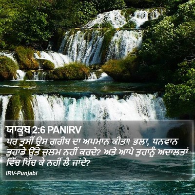 ਯਾਕੂਬ 2:6 PANIRV Bible Verse Image