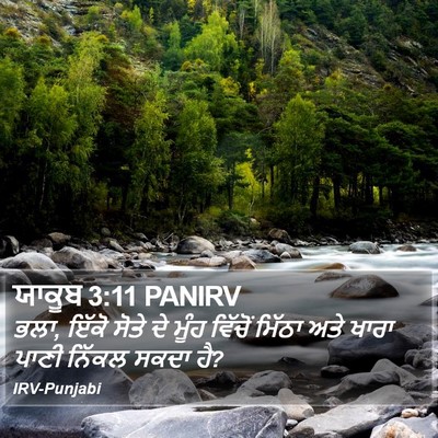 ਯਾਕੂਬ 3:11 PANIRV Bible Verse Image