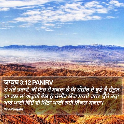 ਯਾਕੂਬ 3:12 PANIRV Bible Verse Image