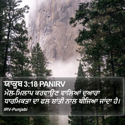 ਯਾਕੂਬ 3:18 PANIRV Bible Verse Image