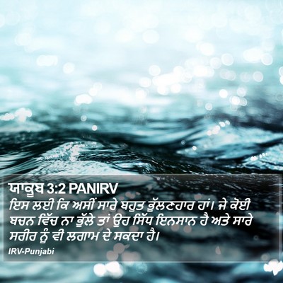 ਯਾਕੂਬ 3:2 PANIRV Bible Verse Image