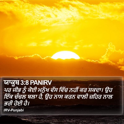 ਯਾਕੂਬ 3:8 PANIRV Bible Verse Image