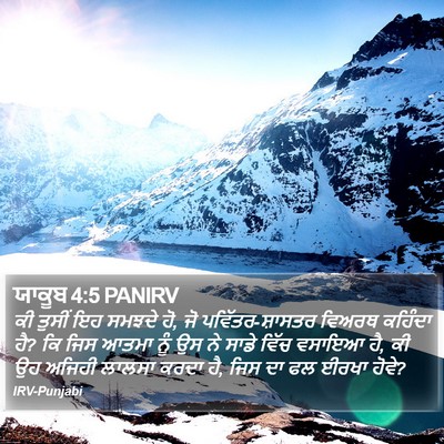 ਯਾਕੂਬ 4:5 PANIRV Bible Verse Image