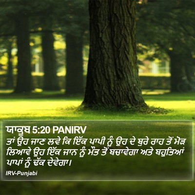 ਯਾਕੂਬ 5:20 PANIRV Bible Verse Image