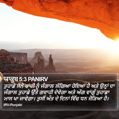 ਯਾਕੂਬ 5:3 PANIRV Bible Verse Image