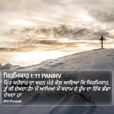 ਯਿਰਮਿਯਾਹ 1:11 PANIRV Bible Verse Image