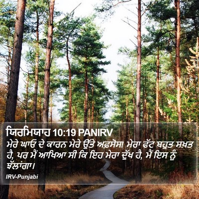 ਯਿਰਮਿਯਾਹ 10:19 PANIRV Bible Verse Image