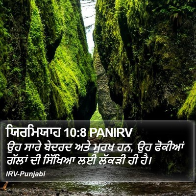 ਯਿਰਮਿਯਾਹ 10:8 PANIRV Bible Verse Image