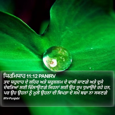 ਯਿਰਮਿਯਾਹ 11:12 PANIRV Bible Verse Image
