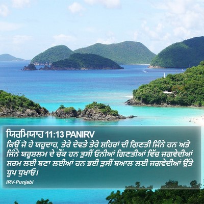ਯਿਰਮਿਯਾਹ 11:13 PANIRV Bible Verse Image