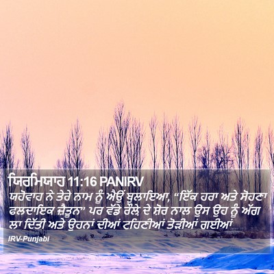 ਯਿਰਮਿਯਾਹ 11:16 PANIRV Bible Verse Image