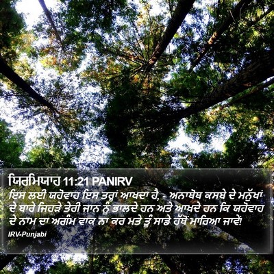 ਯਿਰਮਿਯਾਹ 11:21 PANIRV Bible Verse Image