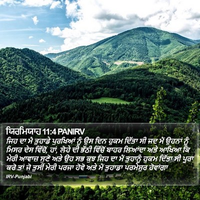 ਯਿਰਮਿਯਾਹ 11:4 PANIRV Bible Verse Image
