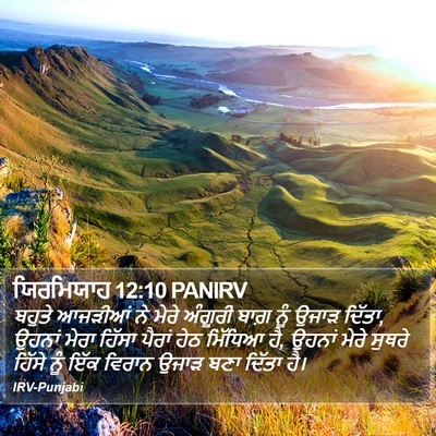 ਯਿਰਮਿਯਾਹ 12:10 PANIRV Bible Verse Image
