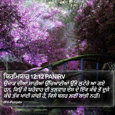 ਯਿਰਮਿਯਾਹ 12:12 PANIRV Bible Verse Image