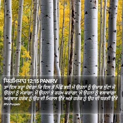 ਯਿਰਮਿਯਾਹ 12:15 PANIRV Bible Verse Image