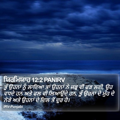 ਯਿਰਮਿਯਾਹ 12:2 PANIRV Bible Verse Image