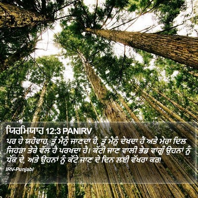 ਯਿਰਮਿਯਾਹ 12:3 PANIRV Bible Verse Image