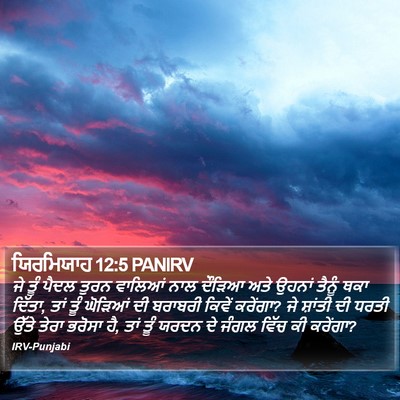 ਯਿਰਮਿਯਾਹ 12:5 PANIRV Bible Verse Image