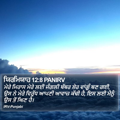 ਯਿਰਮਿਯਾਹ 12:8 PANIRV Bible Verse Image