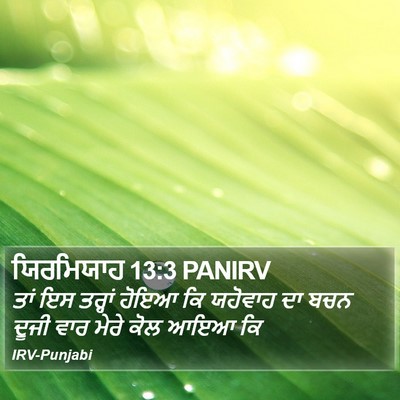 ਯਿਰਮਿਯਾਹ 13:3 PANIRV Bible Verse Image