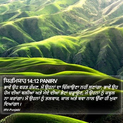 ਯਿਰਮਿਯਾਹ 14:12 PANIRV Bible Verse Image