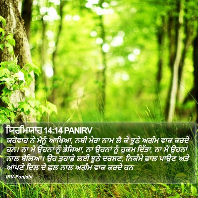 ਯਿਰਮਿਯਾਹ 14:14 PANIRV Bible Verse Image
