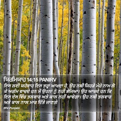 ਯਿਰਮਿਯਾਹ 14:15 PANIRV Bible Verse Image