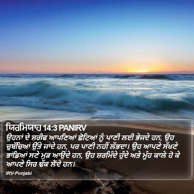 ਯਿਰਮਿਯਾਹ 14:3 PANIRV Bible Verse Image
