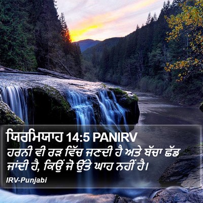 ਯਿਰਮਿਯਾਹ 14:5 PANIRV Bible Verse Image