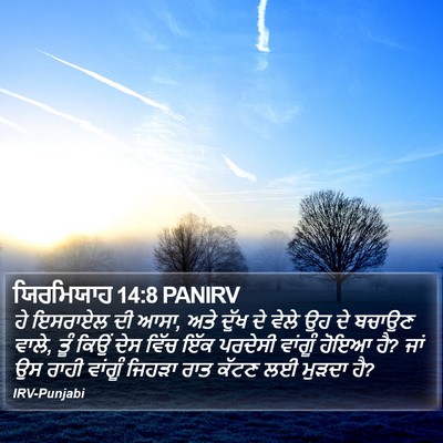 ਯਿਰਮਿਯਾਹ 14:8 PANIRV Bible Verse Image