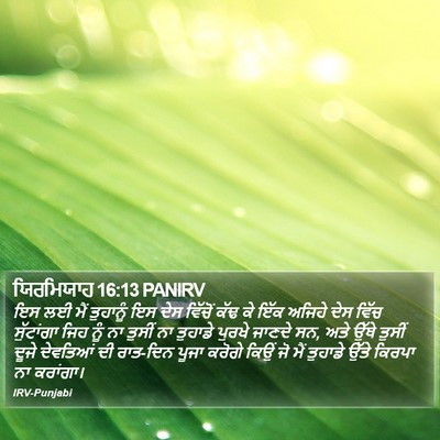 ਯਿਰਮਿਯਾਹ 16:13 PANIRV Bible Verse Image