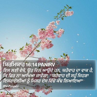ਯਿਰਮਿਯਾਹ 16:14 PANIRV Bible Verse Image