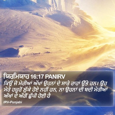 ਯਿਰਮਿਯਾਹ 16:17 PANIRV Bible Verse Image