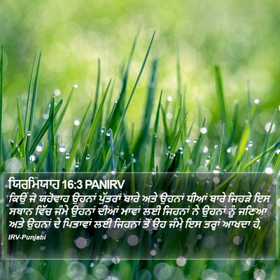 ਯਿਰਮਿਯਾਹ 16:3 PANIRV Bible Verse Image