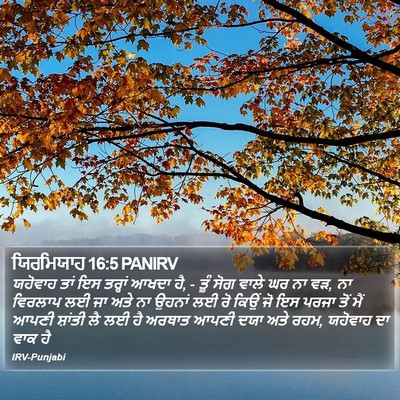 ਯਿਰਮਿਯਾਹ 16:5 PANIRV Bible Verse Image